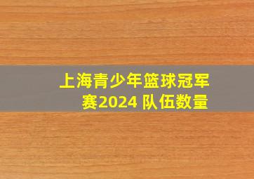 上海青少年篮球冠军赛2024 队伍数量